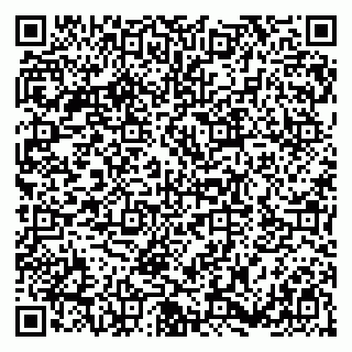 vCard 79180001739