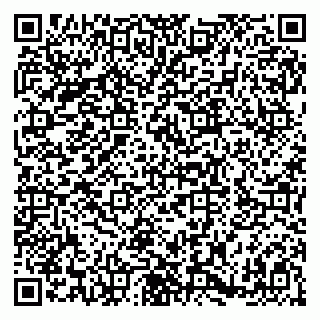 vCard 79180001740