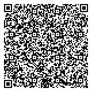 vCard 79180001742