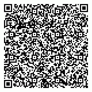 vCard 79180001781