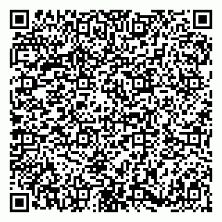 vCard 79180002001