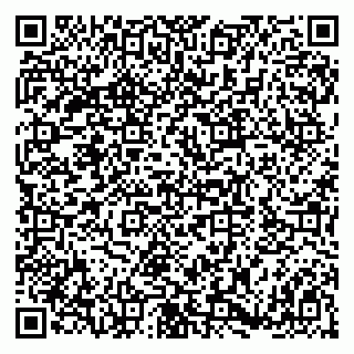 vCard 79180002003