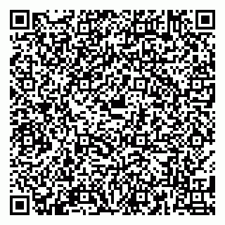 vCard 79180002013