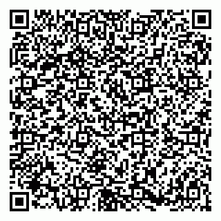 vCard 79180002073