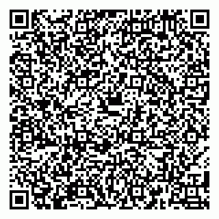 vCard 79180002099