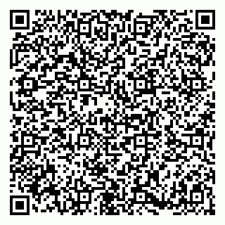 vCard 79180002101