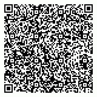 vCard 79180002333