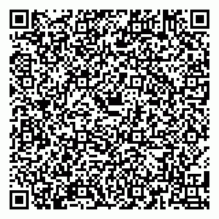 vCard 79180002403