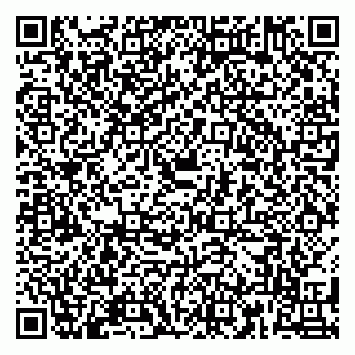 vCard 79180002513
