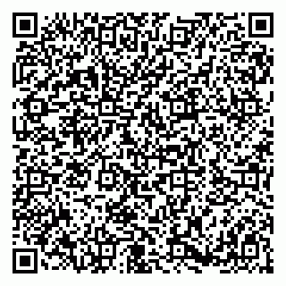 vCard 79180002573
