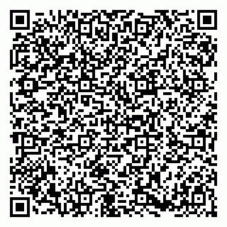 vCard 79180002729