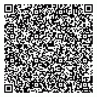 vCard 79180002733
