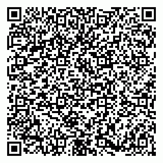 vCard 79180002913