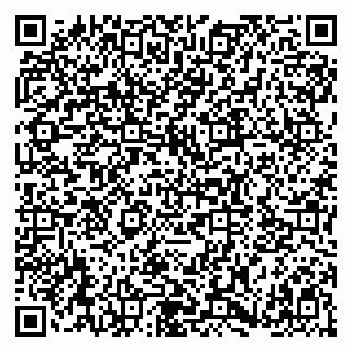 vCard 79180003081