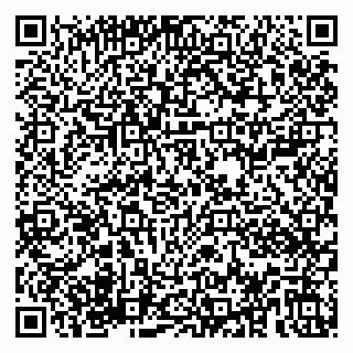 vCard 79180003221