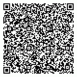 vCard 79180003301