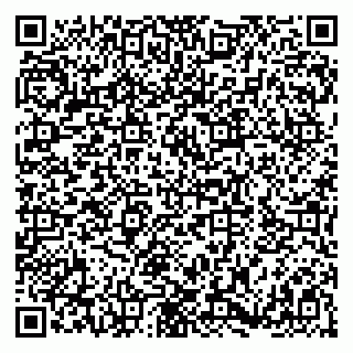 vCard 79180003311