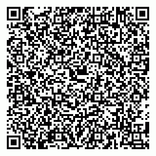 vCard 79180003313