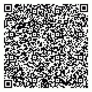 vCard 79180003335