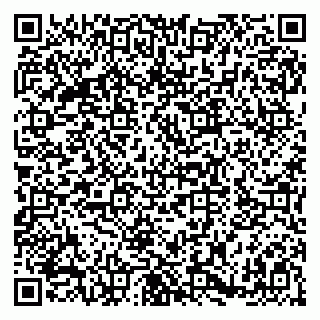 vCard 79180003341