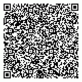 vCard 79180003387