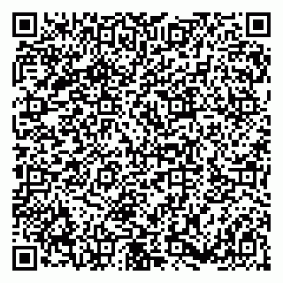 vCard 79180003533