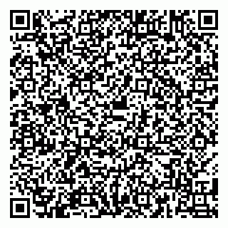 vCard 79180004013