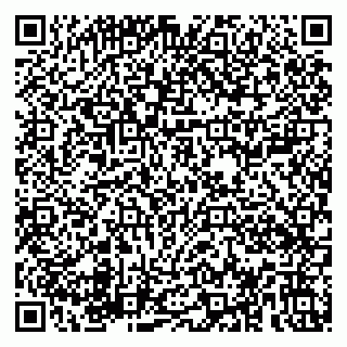 vCard 79180004033