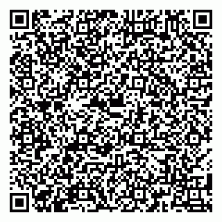 vCard 79180004087