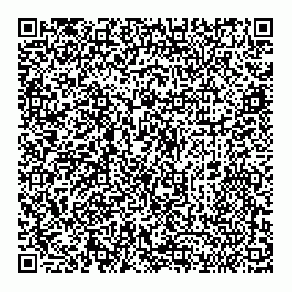 vCard 79180004101