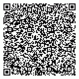 vCard 79180004106