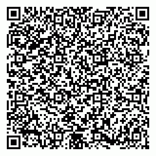 vCard 79180004113