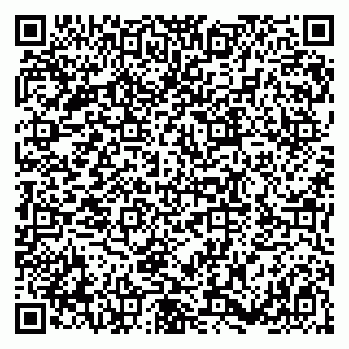 vCard 79180004132