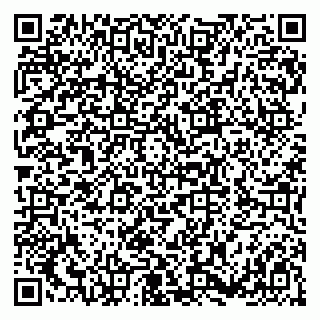 vCard 79180004133