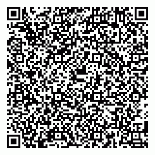 vCard 79180004311