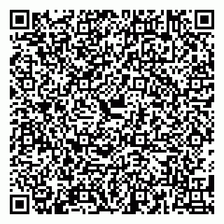 vCard 79180004313