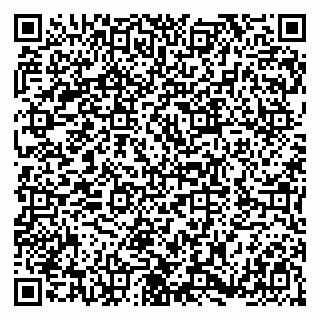 vCard 79180004319