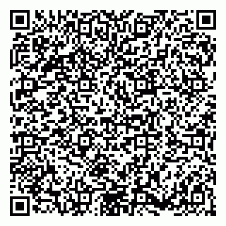 vCard 79180004333