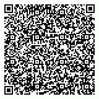 vCard 79180005233