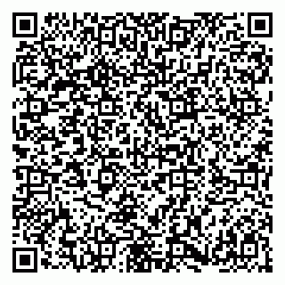 vCard 79180005294