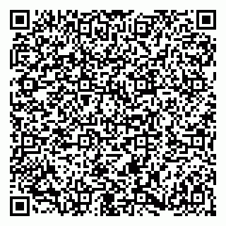 vCard 79180005295