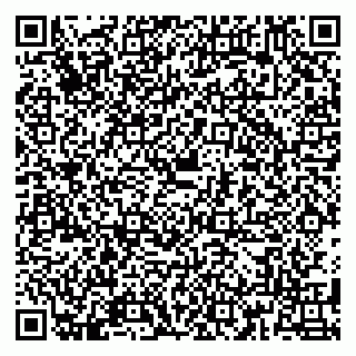 vCard 79180005307