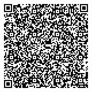 vCard 79180005384