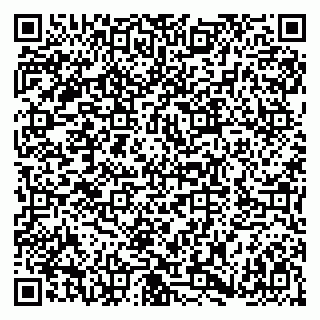 vCard 79180005385