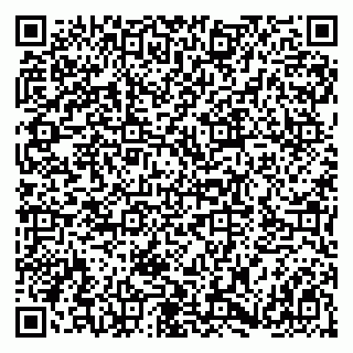 vCard 79180005393