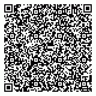 vCard 79180005403