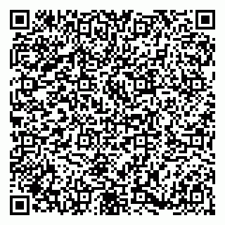 vCard 79180005409