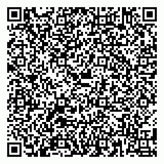 vCard 79180005533