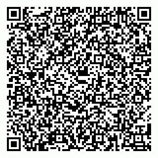vCard 79180005539