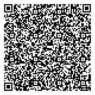 vCard 79180006413
